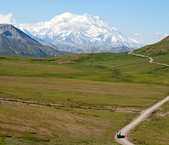 Denali Shuttlebus